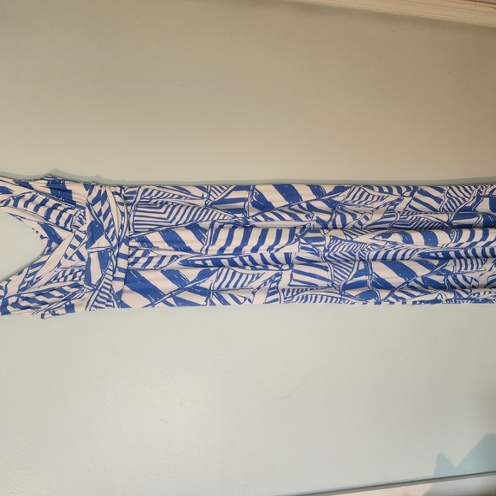 Lilly Pulitzer Blue and White Floral Dress